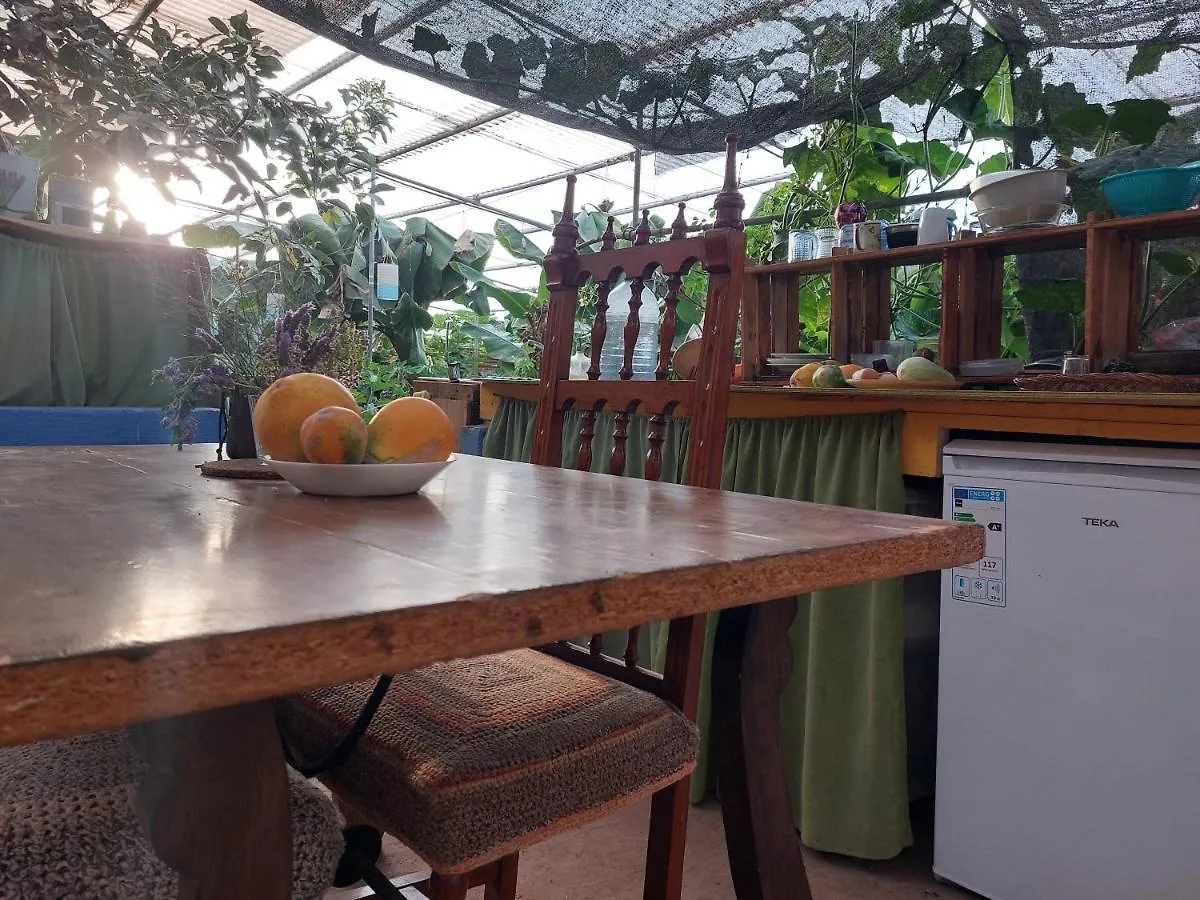 Twin Room In The Greenhouse Close To Mountains And Surf Paradise Tejina