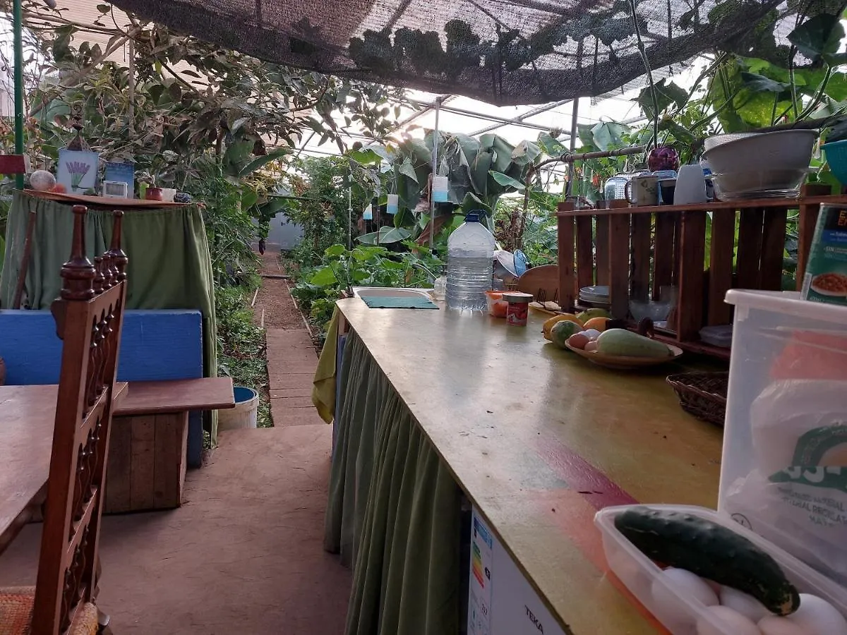 Twin Room In The Greenhouse Close To Mountains And Surf Paradise Tejina 0*,  Spain