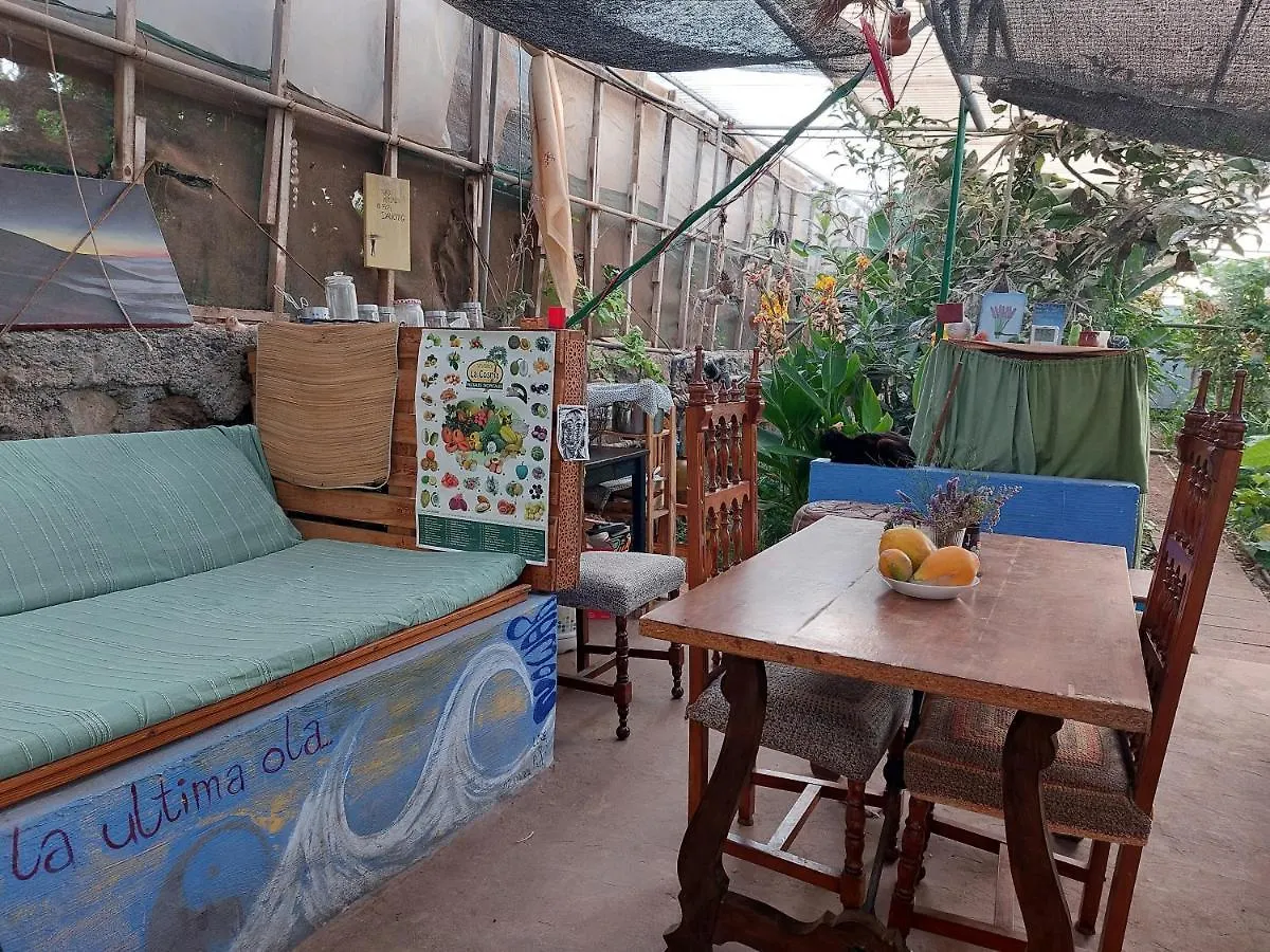 Twin Room In The Greenhouse Close To Mountains And Surf Paradise Tejina Spain