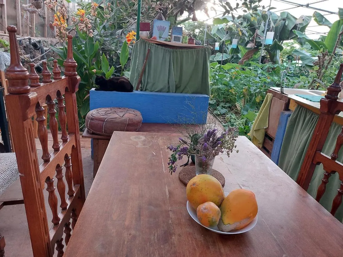 Twin Room In The Greenhouse Close To Mountains And Surf Paradise Tejina 0*,